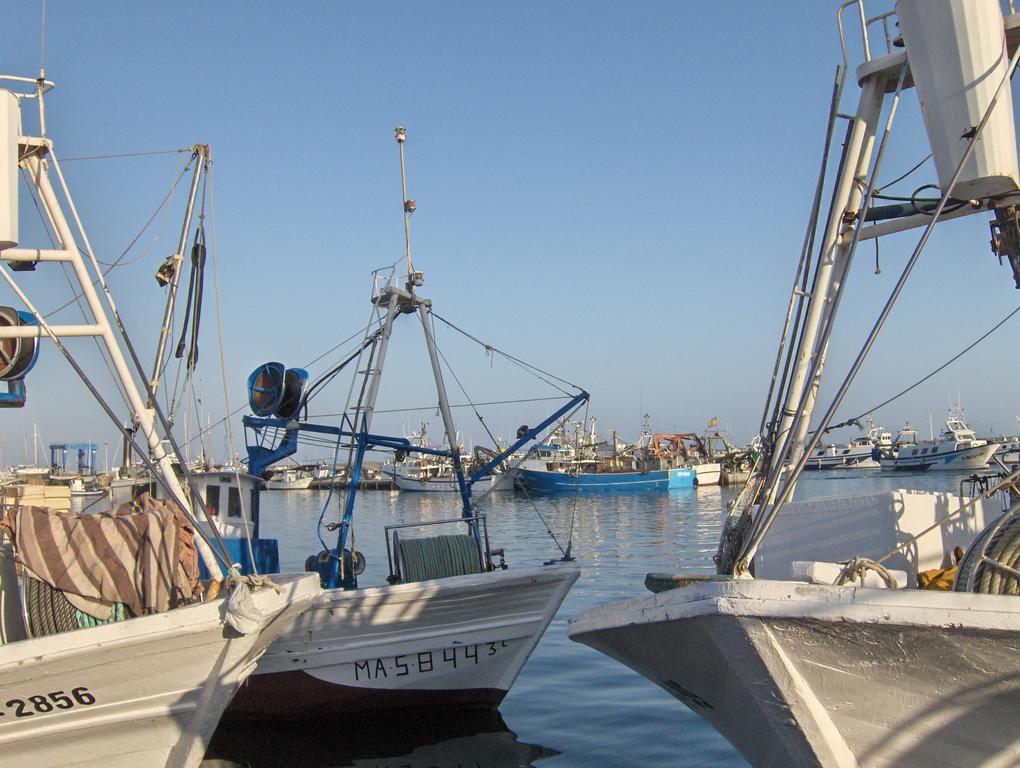 Hotel El Paraiso Caleta De Velez Kültér fotó